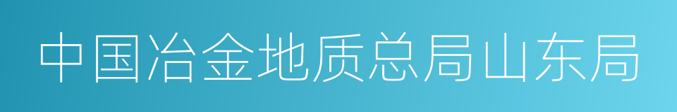 中国冶金地质总局山东局的同义词