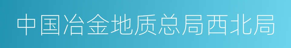 中国冶金地质总局西北局的同义词