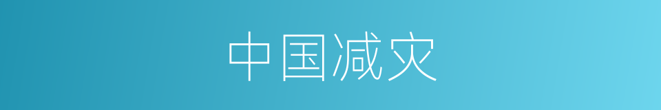 中国减灾的同义词