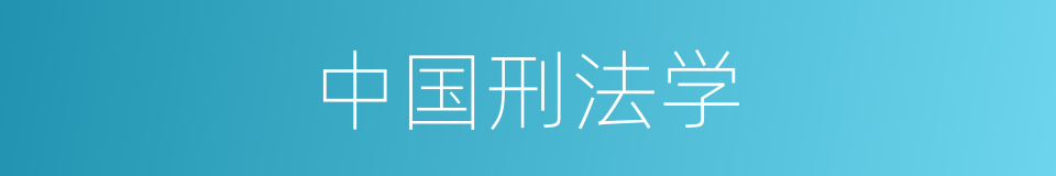 中国刑法学的同义词