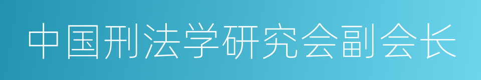 中国刑法学研究会副会长的同义词