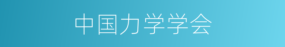 中国力学学会的同义词