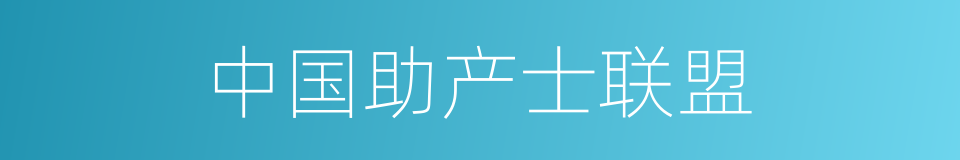 中国助产士联盟的同义词