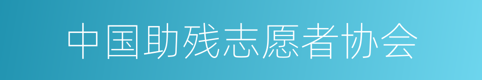 中国助残志愿者协会的同义词
