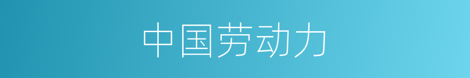中国劳动力的同义词