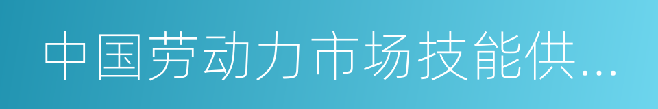 中国劳动力市场技能供需研究的同义词