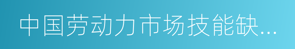 中国劳动力市场技能缺口研究的同义词