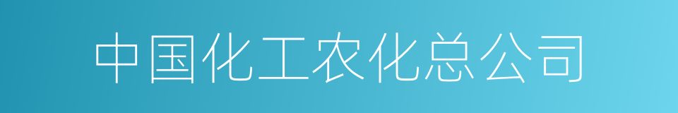 中国化工农化总公司的同义词