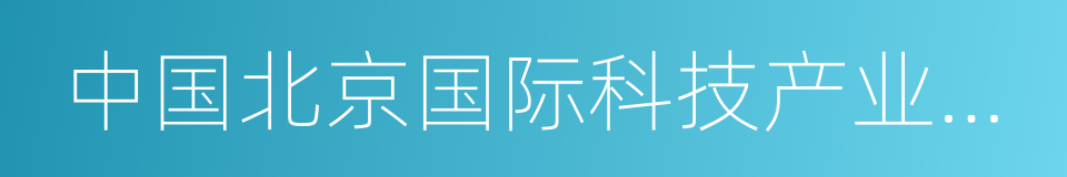 中国北京国际科技产业博览会的同义词