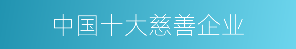 中国十大慈善企业的同义词