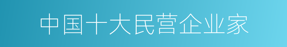 中国十大民营企业家的同义词