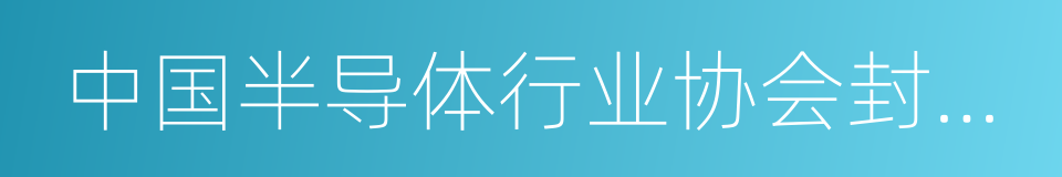 中国半导体行业协会封装分会的同义词