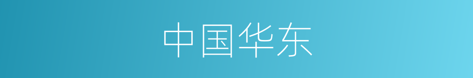 中国华东的同义词