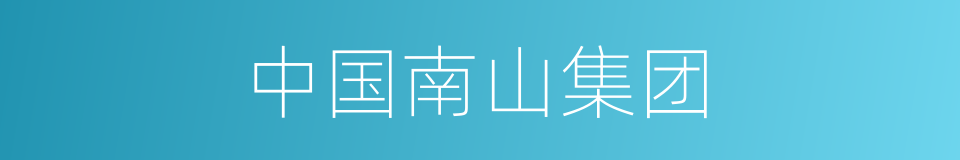 中国南山集团的同义词