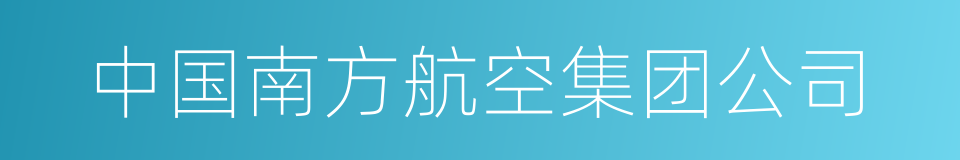 中国南方航空集团公司的同义词