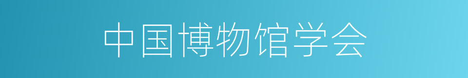 中国博物馆学会的同义词