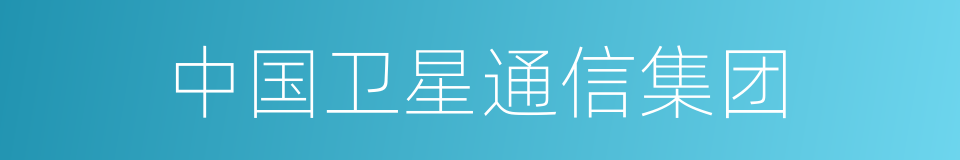 中国卫星通信集团的同义词