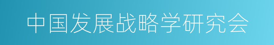 中国发展战略学研究会的同义词