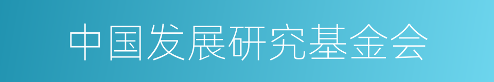 中国发展研究基金会的同义词