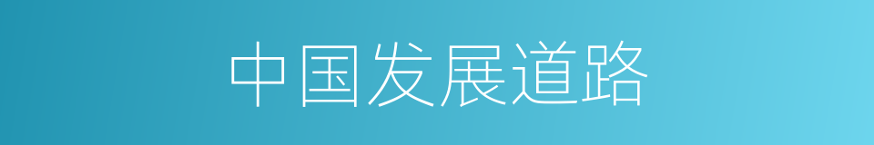 中国发展道路的同义词