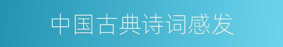 中国古典诗词感发的同义词
