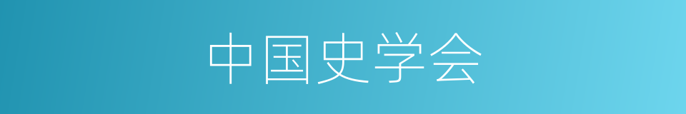 中国史学会的同义词