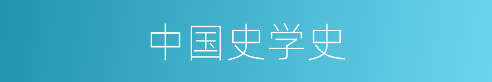 中国史学史的同义词
