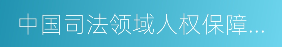 中国司法领域人权保障的新进展的同义词