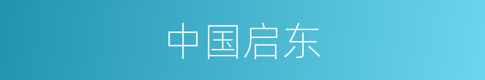 中国启东的同义词