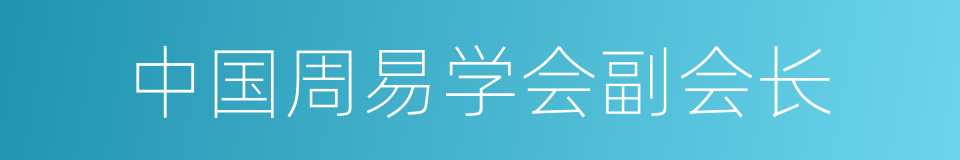 中国周易学会副会长的同义词