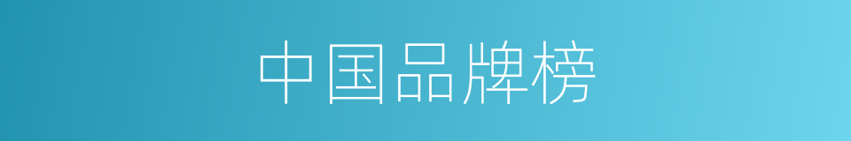 中国品牌榜的同义词