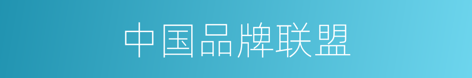 中国品牌联盟的同义词