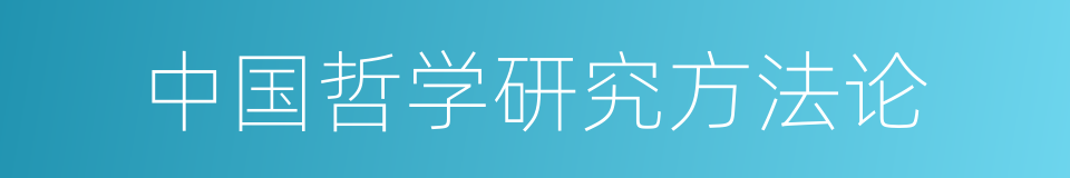 中国哲学研究方法论的同义词