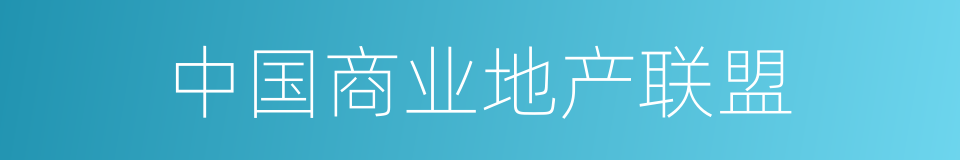 中国商业地产联盟的同义词