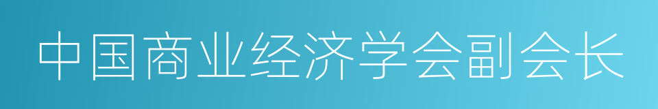 中国商业经济学会副会长的同义词