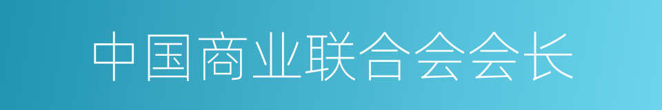 中国商业联合会会长的同义词