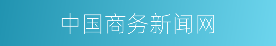 中国商务新闻网的同义词