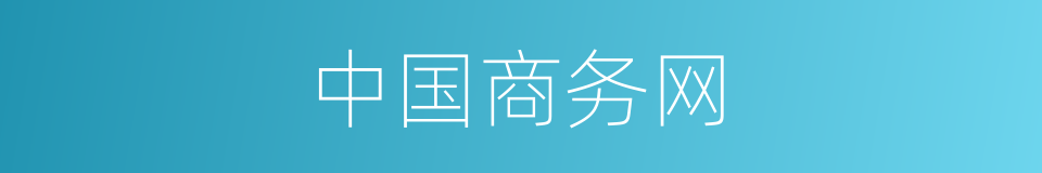 中国商务网的同义词