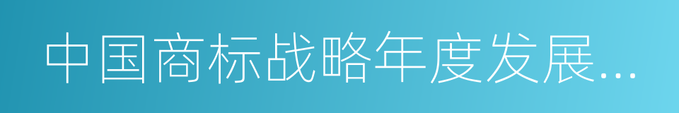 中国商标战略年度发展报告的同义词