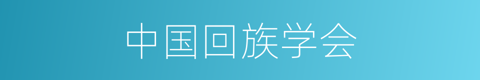 中国回族学会的同义词