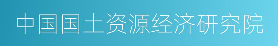 中国国土资源经济研究院的同义词