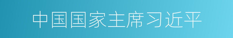 中国国家主席习近平的同义词