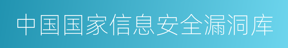 中国国家信息安全漏洞库的同义词