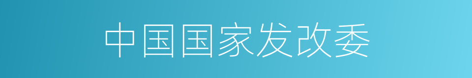 中国国家发改委的同义词