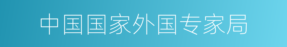 中国国家外国专家局的同义词