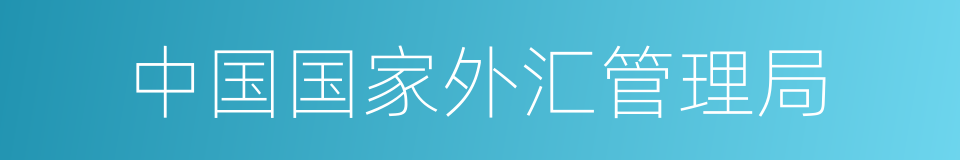 中国国家外汇管理局的同义词