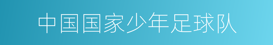 中国国家少年足球队的同义词