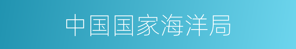 中国国家海洋局的同义词