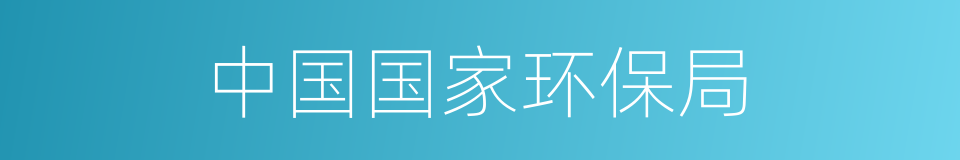 中国国家环保局的同义词