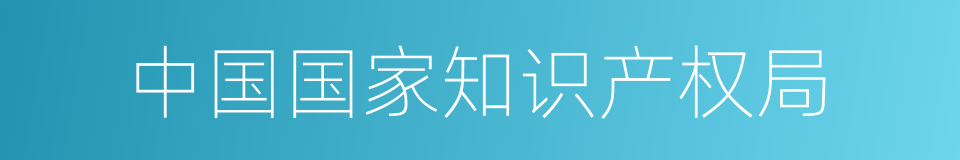 中国国家知识产权局的同义词